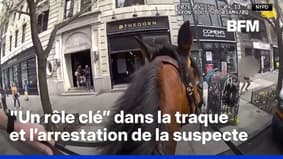 New York: un policier à cheval se lance dans une course-poursuite   