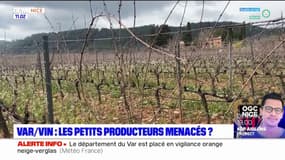 Var: un viticulteur menacé par la hausse des prix des terrains