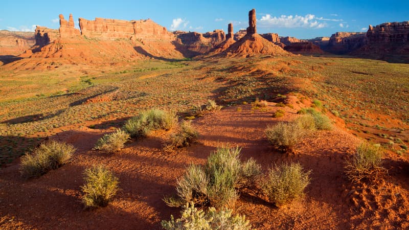 La "vallée des Dieux", une parcelle du Bears Ears National Monument.