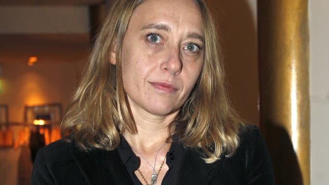 Virginie Despentes en novembre 2010