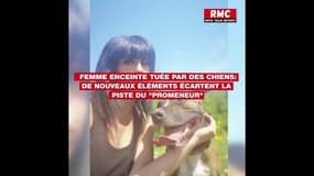 Femme enceinte tuée par des chiens: de nouveaux éléments écartent la piste du "promeneur"