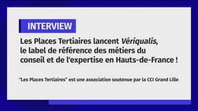 Vériqualis, le label de référence des métiers du conseil et de l'expertise en Hauts-de-France