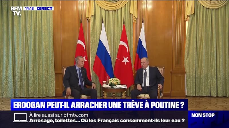 Vladimir Poutine reçoit le président turc Recep Tayyip Erdogan