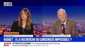 "Ça ne m'agace pas, j'en souris": Maud Bregeon revient sur les propos d'Elisabeth Borne qui demande au gouvernement d'utiliser le 49.3 pour voter le budget de l'État