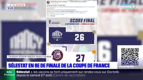 Handball: Sélestat en 8e de finale de la Coupe de France