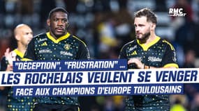 Top 14 : "Déception", "frustration" ... Les Rochelais veulent se venger face aux champions d'Europe toulousains