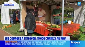 Lyon: 15.000 participants au festival de la courge à la Tête d'Or