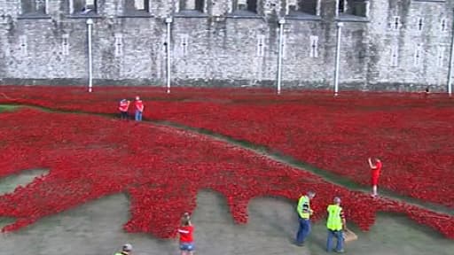 Le parterre de la Tour de Londres envahi de coquelicots, ce mardi dans la capitale du Royaume-Uni.