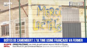 La dernière usine de boîtes de camembert, en bois de Normandie, va fermer ses portes