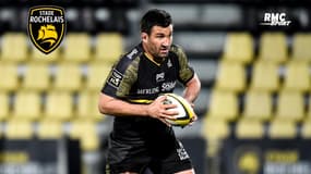 Racing 6-19 La Rochelle : "Une équipe de chiens" savoure Sazy, le 3e ligne rochelais 