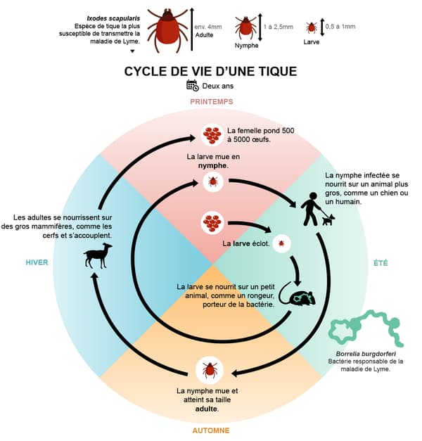 infographie tique infographie tique