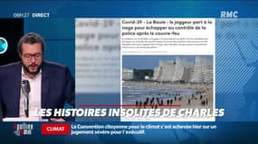 « Les 3 histoires de Charles Magnien » : Un joggeur qui plonge à l'eau pour échapper aux policiers, un homme ivre au volant de son tracteur, le plus beau chien du monde - 01/03