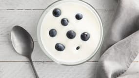 Deux lots de skyr de la marque Yoplait sont concernés. (Illustration)