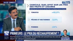 Comment le réchauffement climatique affecte les prix des fruits et légumes