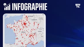Capture carte des désinsectiseurs spécialistes des punaises de lits en France.