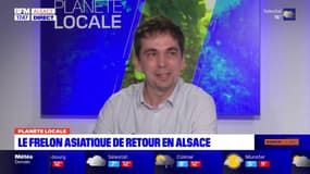 Planète locale du lundi 15 avril