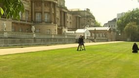 Les pelouses de Buckingham Palace.