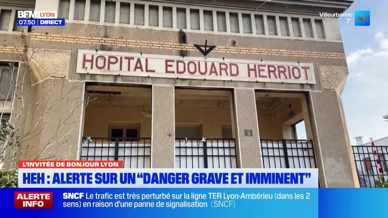 "Danger grave et imminent" : l'alerte sur les urgences de l'hôpital Édouard-Herriot de Lyon