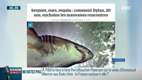 Dylan, 20 ans, a déjà survécu à un serpent, un ours et un requin...