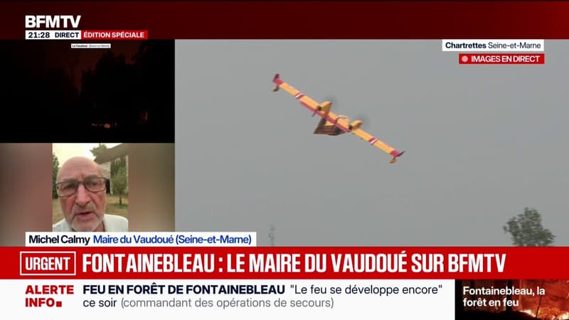 Incendie dans la forêt de Fontainebleau: "On a évacué un foyer sur deux", raconte Michel Calmy, maire du Vaudoué (Seine-et-Marne)