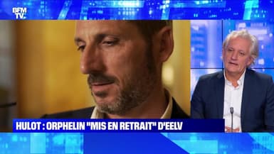 Affaire Hulot: Matthieu Orphelin "mis en retrait" d'EELV - 27/11