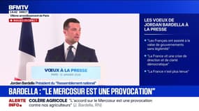 Jordan Bardella réitère son "souhait d'un cessez-le-feu rapide" en Ukraine