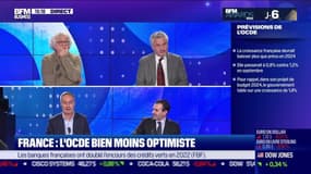 France : l'OCDE bien moins optimiste - 29/11