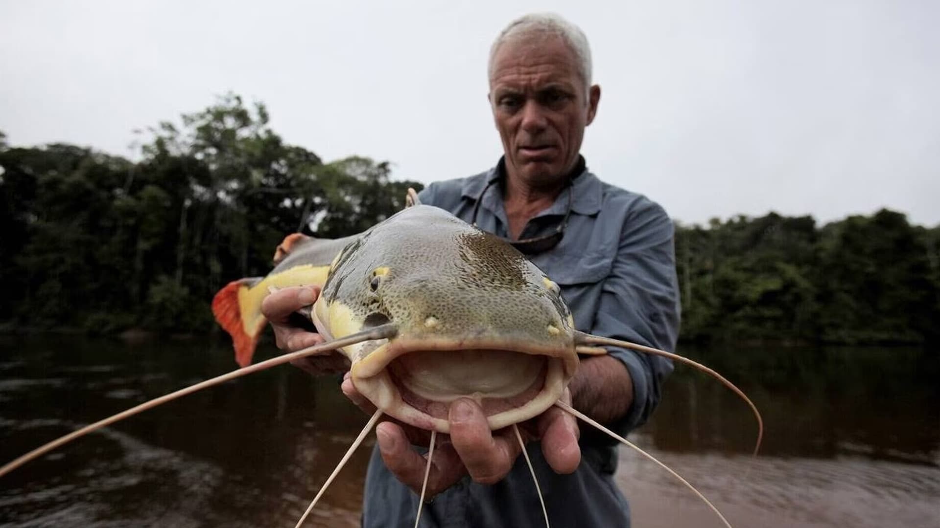 RIVER MONSTERS