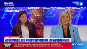Assemblée Nationale: quand sera adoptée la proposition de loi sur l'homicide routier portée par LR