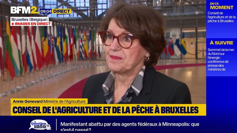 Mercosur: "L'agriculture est toujours la variable d'ajustement des accords de libre-échange", regrette Annie Genevard