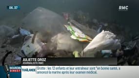 Biodiversité: Nicolas Hulot veut frapper fort face à un diagnostic alarmant