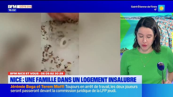 BFM Nice et Vous - Une famille dans un logement insalubre à Nice. Quelles solutions ? 