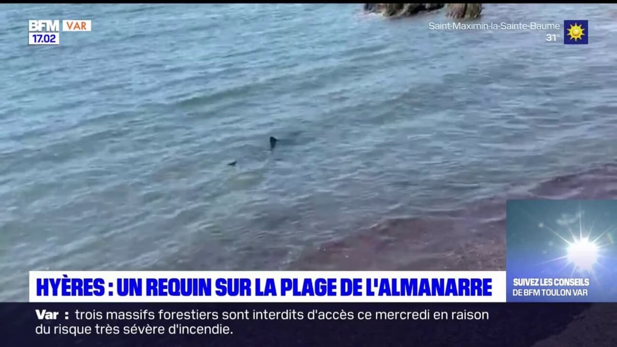placeholder video