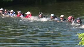 Floride: une chaîne humaine permet de sauver quatre dauphins coincés dans un canal