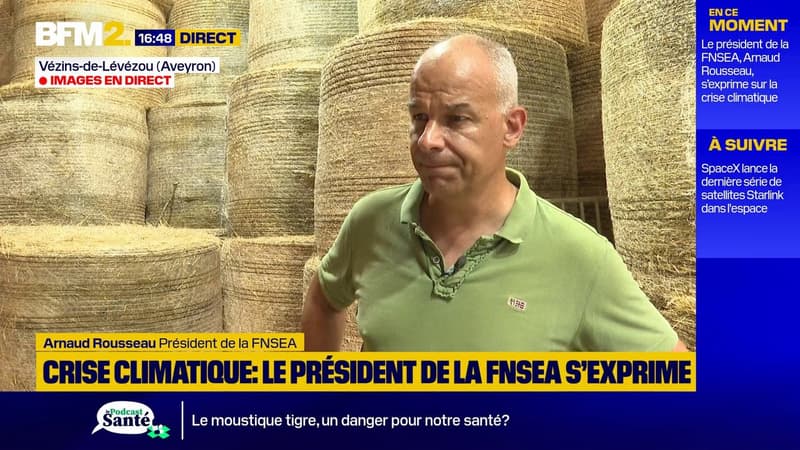 La sécheresse a causé "plusieurs milliards de pertes" sur l'élevage d'après le président de la FNSEA, Arnaud Rousseau
