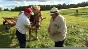 Depardieu apprend à faucher les foins avec le président biélorusse