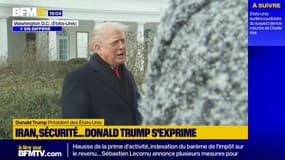 "Nous parlons à l'OTAN": Donald Trump redit avoir "besoin" du Groenland