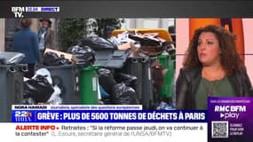 Grève : plus de 5 600 tonnes de déchets à Paris - 13/03
