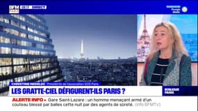 Tour Triangle: la présidente de SOS Paris "outrée" que le projet soit validé