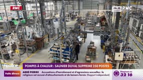 Pompes à chaleur : Saunier Duval supprime 250 postes