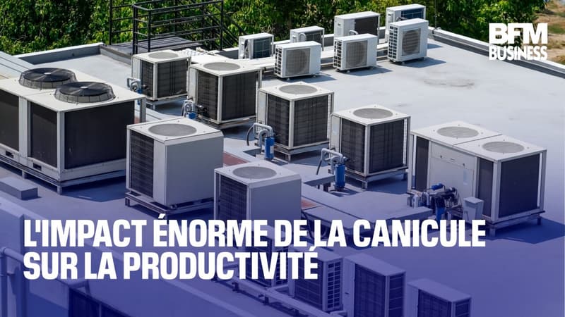 L'impact énorme de la canicule sur la productivité