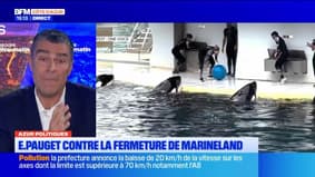 Sécurité routière : l'été de tous les dangers