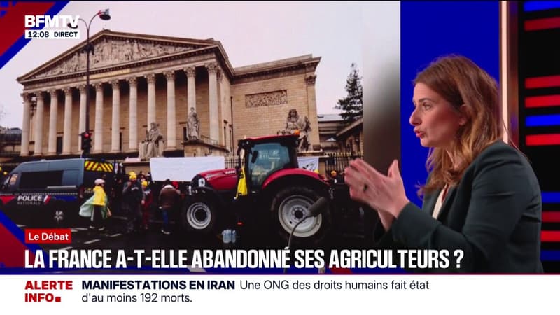 "Je refuse que l'écologie soit le bouc émissaire de la crise agricole", déclare Marine Tondelier (Les Écologistes)