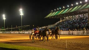 Les pronos hippiques du vendredi 19 juillet 2024