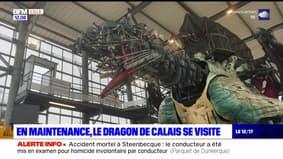En maintenance, le dragon de Calais se visite