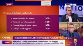 Une amende forfaitaire délictuelle dans plusieurs villes 