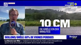 À Seillons, la grêle a causé la perte de 60% des vignes