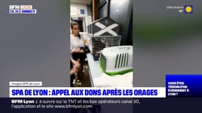 Rhône: la SPA de Brignais lance un appel aux dons après les violents orages