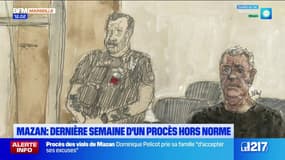 Mazan: dernière semaine d'un procès hors norme