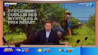 Le journal de 8h du mercredi 15 juillet 2026